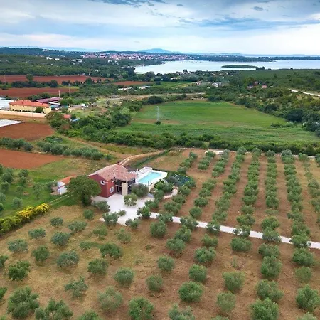 Astonishing Pool In Immersed In An Olive Orchard * Pomer