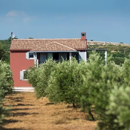 Astonishing Pool In Immersed In An Olive Orchard * Pomer