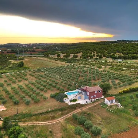 Astonishing Pool In Immersed In An Olive Orchard